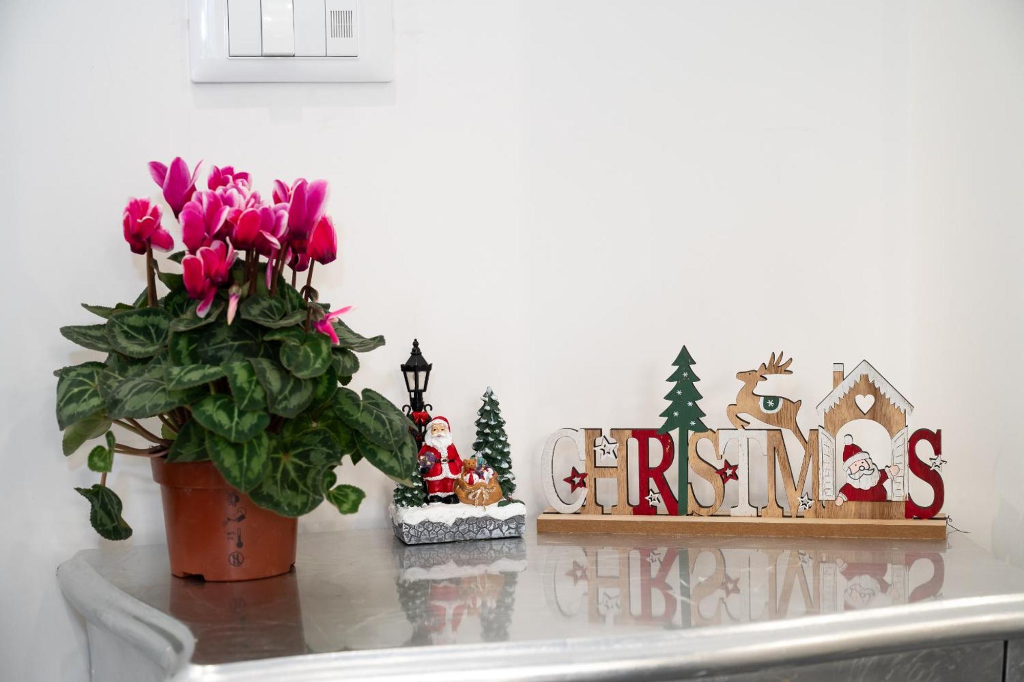 St. Peter Boutique Apt Рим Экстерьер фото